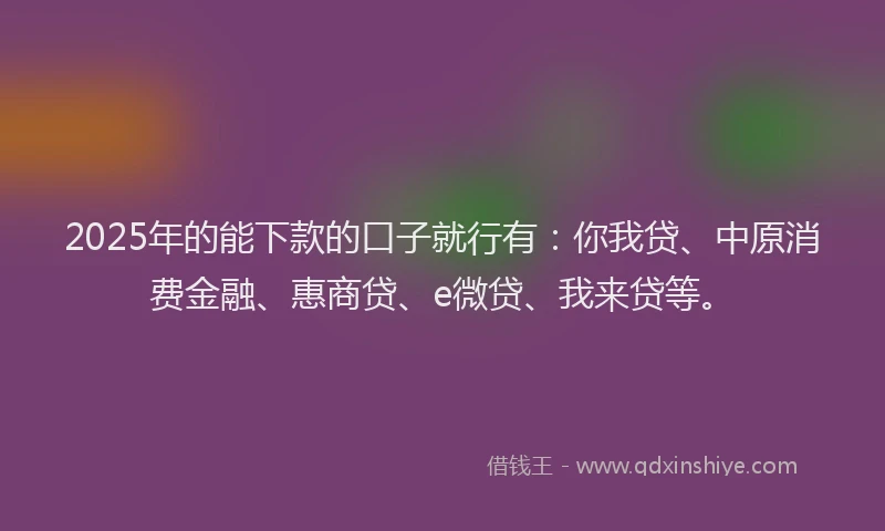2025年的能下款的口子就行有：你我贷、中原消费金融、惠商贷、e微贷、我来贷等。