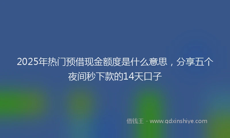 2025年热门预借现金额度是什么意思，分享五个夜间秒下款的14天口子