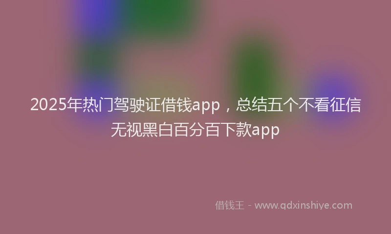 2025年热门驾驶证借钱app，总结五个不看征信无视黑白百分百下款app