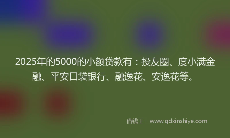 2025年的5000的小额贷款有：投友圈、度小满金融、平安口袋银行、融逸花、安逸花等。