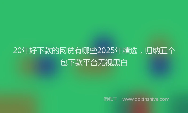 20年好下款的网贷有哪些2025年精选，归纳五个包下款平台无视黑白