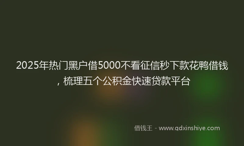 2025年热门黑户借5000不看征信秒下款花鸭借钱，梳理五个公积金快速贷款平台