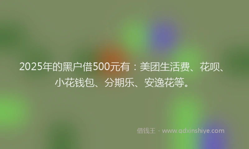 2025年的黑户借500元有：美团生活费、花呗、小花钱包、分期乐、安逸花等。