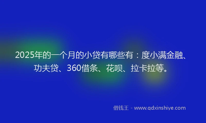 2025年的一个月的小贷有哪些有：度小满金融、功夫贷、360借条、花呗、拉卡拉等。