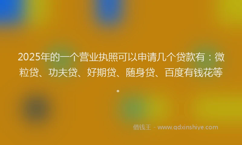 2025年的一个营业执照可以申请几个贷款有：微粒贷、功夫贷、好期贷、随身贷、百度有钱花等。