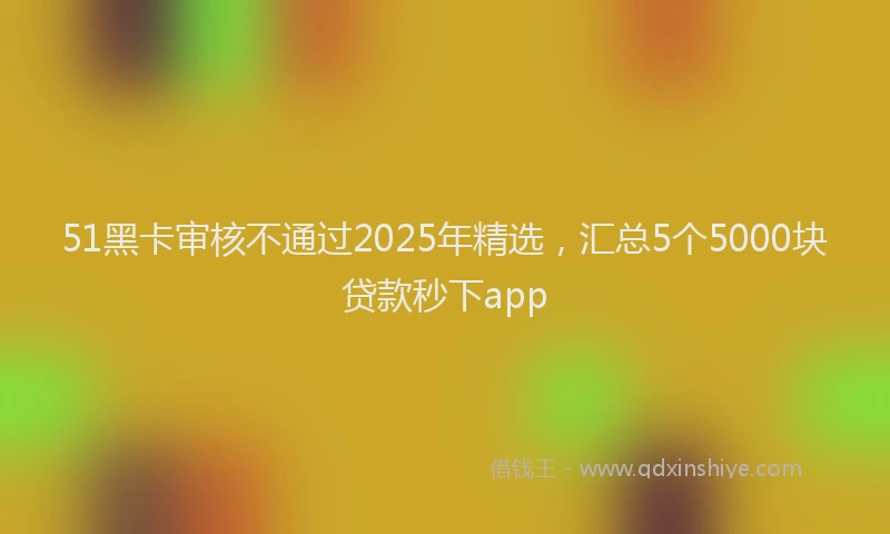 51黑卡审核不通过2025年精选，汇总5个5000块贷款秒下app
