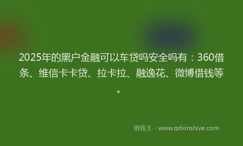 2025年的黑户金融可以车贷吗安全吗有：360借条、维信卡卡贷、拉卡拉、融逸花、微博借钱等。