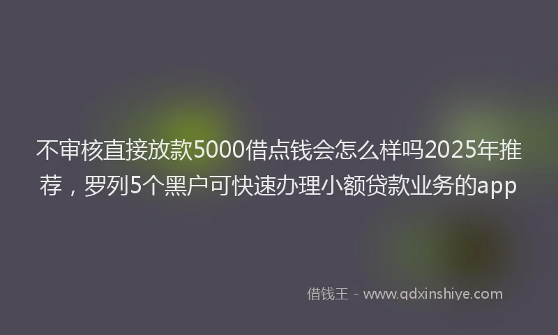 不审核直接放款5000借点钱会怎么样吗2025年推荐，罗列5个黑户可快速办理小额贷款业务的app