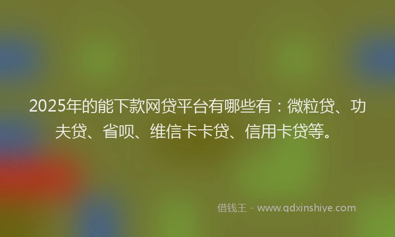 2025年的能下款网贷平台有哪些有：微粒贷、功夫贷、省呗、维信卡卡贷、信用卡贷等。