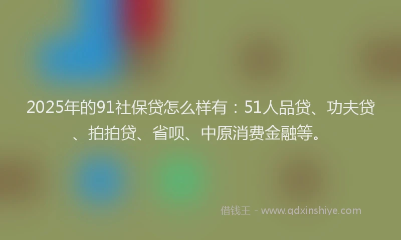 2025年的91社保贷怎么样有：51人品贷、功夫贷、拍拍贷、省呗、中原消费金融等。