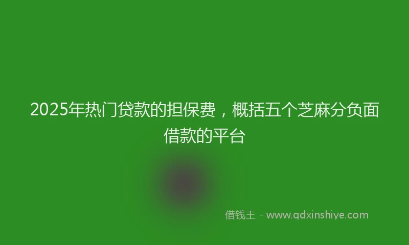 2025年热门贷款的担保费，概括五个芝麻分负面借款的平台