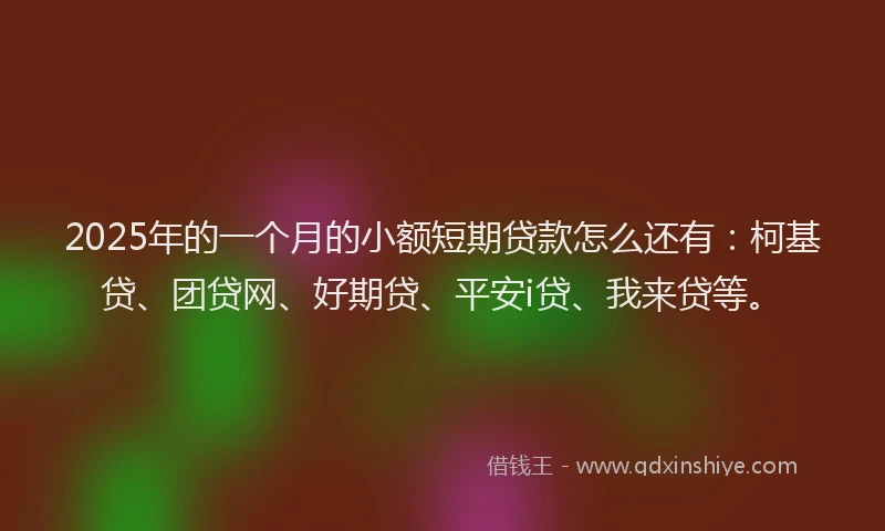 2025年的一个月的小额短期贷款怎么还有：柯基贷、团贷网、好期贷、平安i贷、我来贷等。