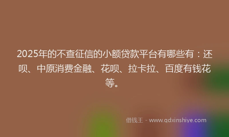 2025年的不查征信的小额贷款平台有哪些有：还呗、中原消费金融、花呗、拉卡拉、百度有钱花等。