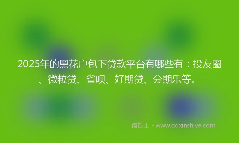 2025年的黑花户包下贷款平台有哪些有：投友圈、微粒贷、省呗、好期贷、分期乐等。