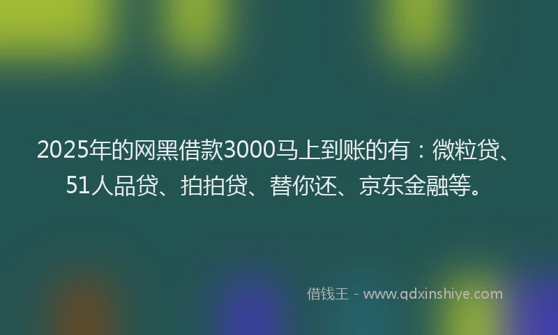 2025年的网黑借款3000马上到账的有：微粒贷、51人品贷、拍拍贷、替你还、京东金融等。