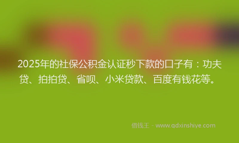 2025年的社保公积金认证秒下款的口子有：功夫贷、拍拍贷、省呗、小米贷款、百度有钱花等。