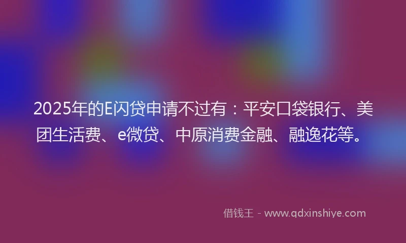 2025年的E闪贷申请不过有：平安口袋银行、美团生活费、e微贷、中原消费金融、融逸花等。