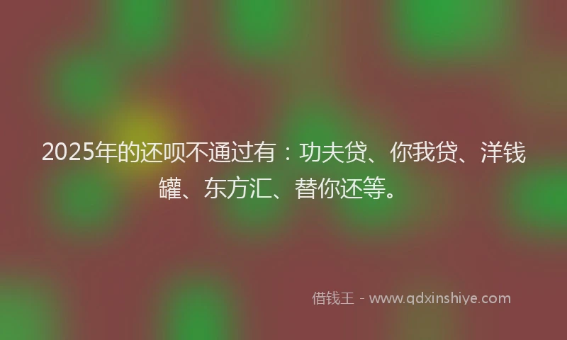 2025年的还呗不通过有：功夫贷、你我贷、洋钱罐、东方汇、替你还等。