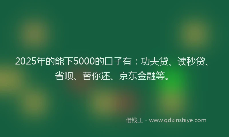 2025年的能下5000的口子有：功夫贷、读秒贷、省呗、替你还、京东金融等。
