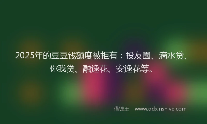 2025年的豆豆钱额度被拒有：投友圈、滴水贷、你我贷、融逸花、安逸花等。