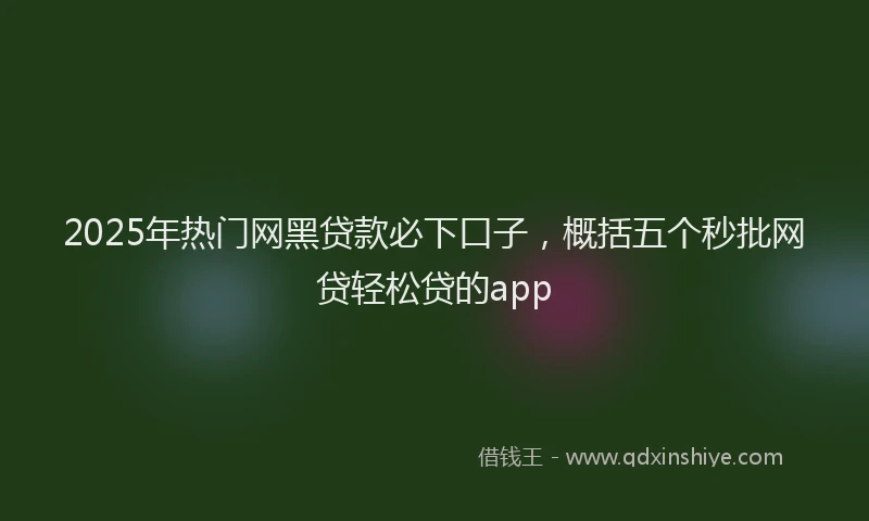 2025年热门网黑贷款必下口子，概括五个秒批网贷轻松贷的app