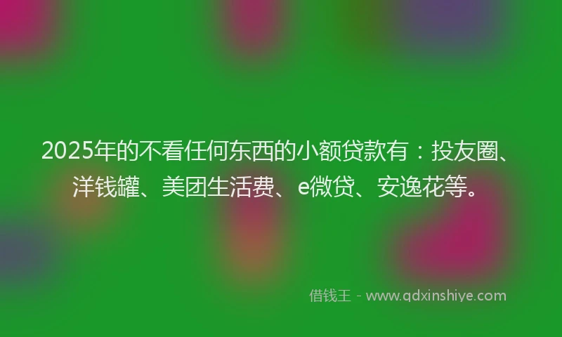 2025年的不看任何东西的小额贷款有：投友圈、洋钱罐、美团生活费、e微贷、安逸花等。