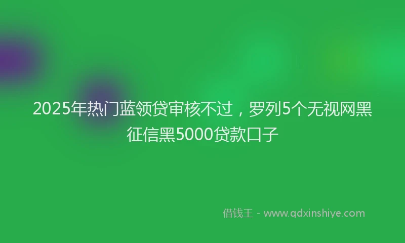 2025年热门蓝领贷审核不过，罗列5个无视网黑征信黑5000贷款口子