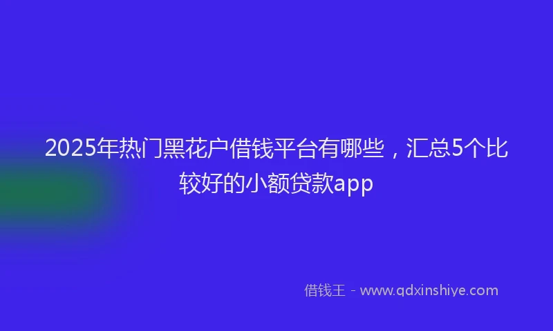 2025年热门黑花户借钱平台有哪些，汇总5个比较好的小额贷款app