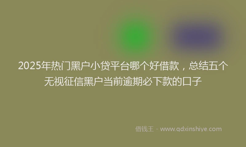 2025年热门黑户小贷平台哪个好借款，总结五个无视征信黑户当前逾期必下款的口子