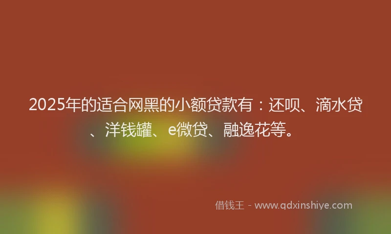 2025年的适合网黑的小额贷款有：还呗、滴水贷、洋钱罐、e微贷、融逸花等。