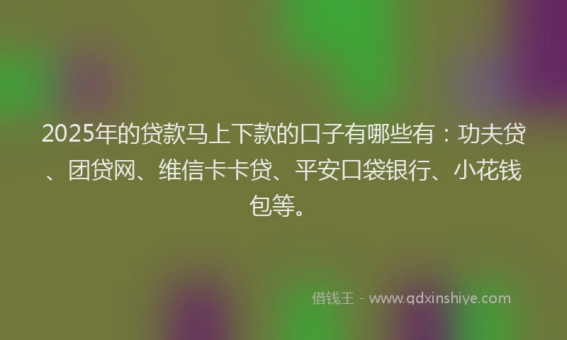 2025年的贷款马上下款的口子有哪些有：功夫贷、团贷网、维信卡卡贷、平安口袋银行、小花钱包等。