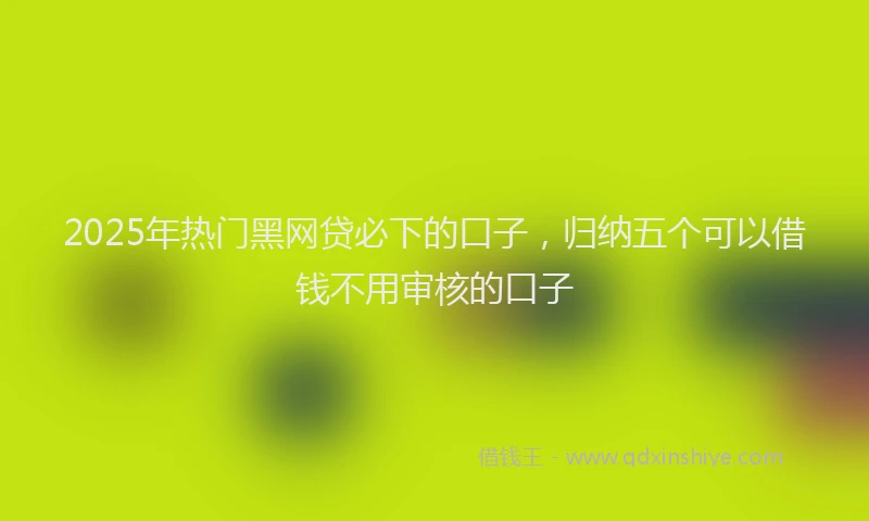 2025年热门黑网贷必下的口子，归纳五个可以借钱不用审核的口子