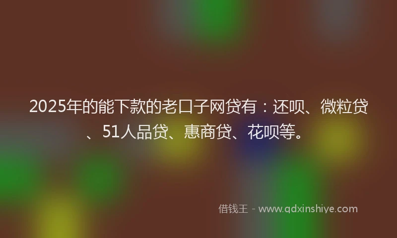 2025年的能下款的老口子网贷有：还呗、微粒贷、51人品贷、惠商贷、花呗等。