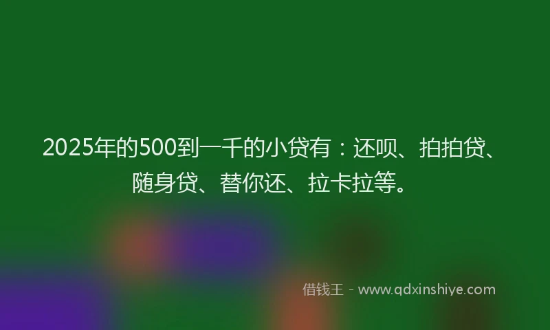 2025年的500到一千的小贷有：还呗、拍拍贷、随身贷、替你还、拉卡拉等。
