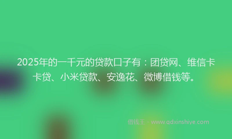 2025年的一千元的贷款口子有：团贷网、维信卡卡贷、小米贷款、安逸花、微博借钱等。