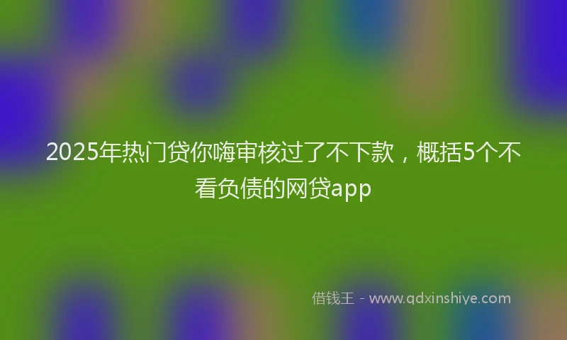 2025年热门贷你嗨审核过了不下款，概括5个不看负债的网贷app