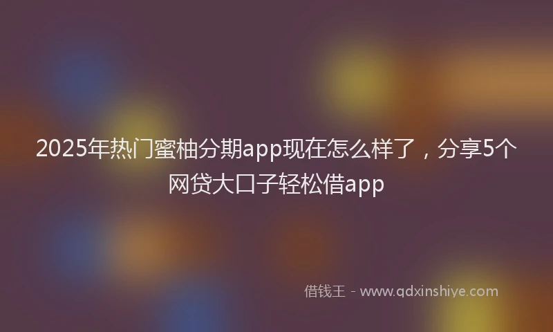 2025年热门蜜柚分期app现在怎么样了，分享5个网贷大口子轻松借app