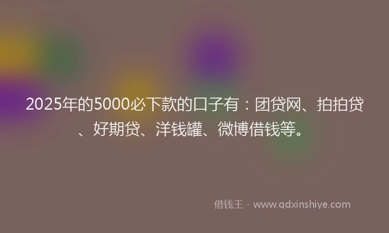 2025年的5000必下款的口子有：团贷网、拍拍贷、好期贷、洋钱罐、微博借钱等。