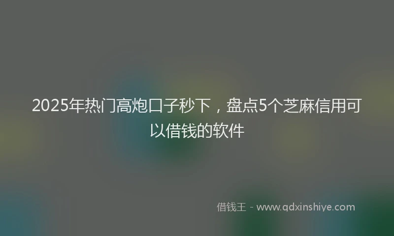 2025年热门高炮口子秒下，盘点5个芝麻信用可以借钱的软件