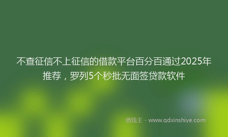 不查征信不上征信的借款平台百分百通过2025年推荐，罗列5个秒批无面签贷款软件