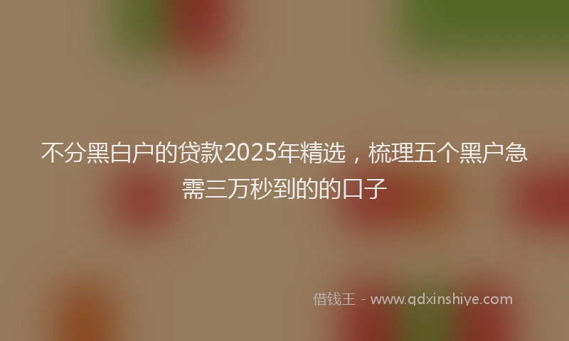 不分黑白户的贷款2025年精选，梳理五个黑户急需三万秒到的的口子