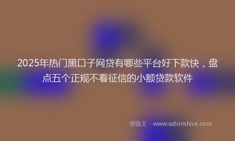 2025年热门黑口子网贷有哪些平台好下款快，盘点五个正规不看征信的小额贷款软件