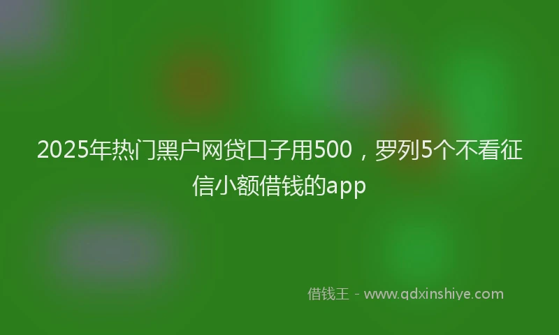 2025年热门黑户网贷口子用500，罗列5个不看征信小额借钱的app