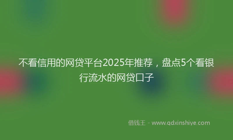 不看信用的网贷平台2025年推荐，盘点5个看银行流水的网贷口子