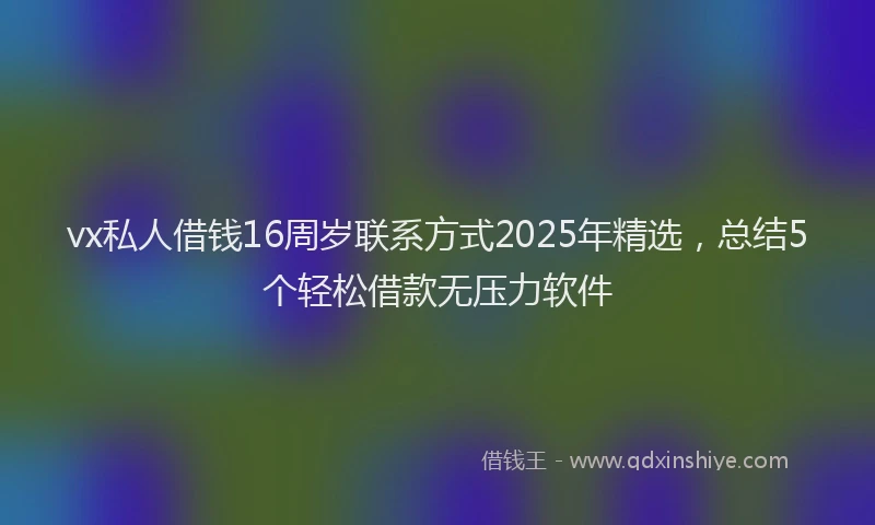 vx私人借钱16周岁联系方式2025年精选，总结5个轻松借款无压力软件
