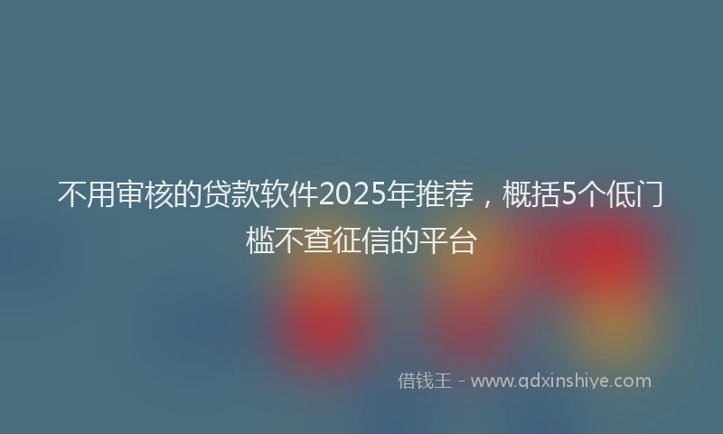 不用审核的贷款软件2025年推荐，概括5个低门槛不查征信的平台