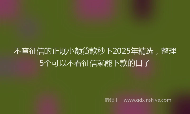 不查征信的正规小额贷款秒下2025年精选，整理5个可以不看征信就能下款的口子
