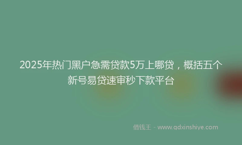 2025年热门黑户急需贷款5万上哪贷，概括五个新号易贷速审秒下款平台