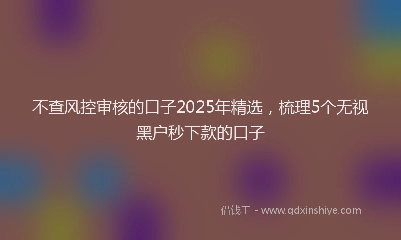 不查风控审核的口子2025年精选，梳理5个无视黑户秒下款的口子