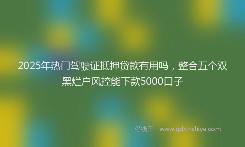 2025年热门驾驶证抵押贷款有用吗，整合五个双黑烂户风控能下款5000口子